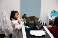 Engaging Science-Inspired Activities Image 1