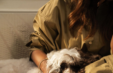 Sustainable Luxe Pet-Friendly Furniture