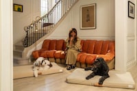 Sustainable Luxe Pet-Friendly Furniture Image 2