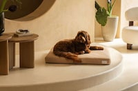 Sustainable Luxe Pet-Friendly Furniture Image 3