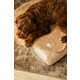 Sustainable Luxe Pet-Friendly Furniture Image 4