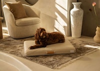 Sustainable Luxe Pet-Friendly Furniture Image 5