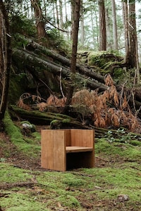 Organic Ancient Design Furniture Image 3