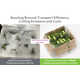 Fresh Broccoli Packaging Solutions Image 1