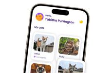 Cat Tracking Apps