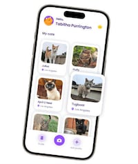 Cat Tracking Apps