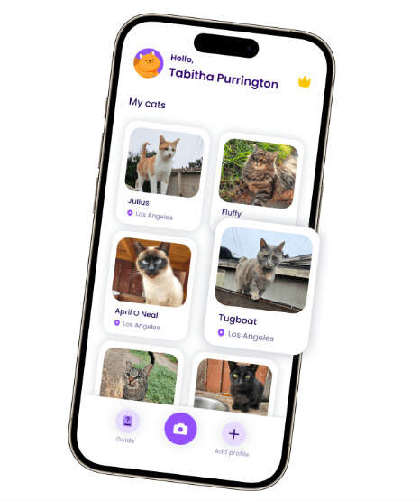 Cat Tracking Apps