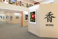 Charitable Photography Exhibitions Image 1