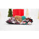 Festive Pet Streaming Services Image 1