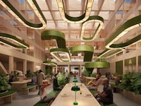 Sustainable Vibrant Work Environments