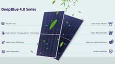 Improved Bycium Solar Panels Article Thubnail