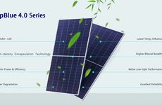 Improved Bycium Solar Panels