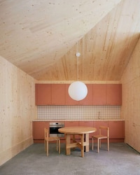 Tree-Surrounding Mass-Timber Homes Image 5