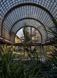 Vaulted Glass Roofed Greenhouses Image 2