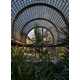 Vaulted Glass Roofed Greenhouses Image 2