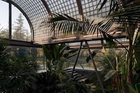 Vaulted Glass Roofed Greenhouses Image 3