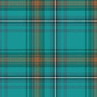Tartan-Patterned Spirit Campaigns Image 1
