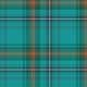 Tartan-Patterned Spirit Campaigns Image 1