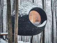Modern Rounded Treehouse Pods Image 3