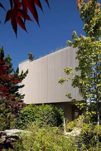 Light-Filled Open Beach Houses Image 2