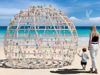 Interactive Marine Ecosystem Sculptures Image 1