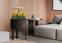 Plant-Cultivating Home Furnishings Image 2