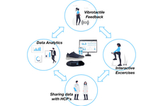 Wearable Gait Rehabilitation Systems