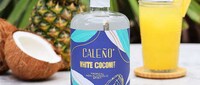Non-Alcoholic Coconut Rums Image 5