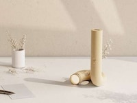 Decor-Inspired Vacuums Image 1