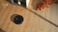 Tangle-Cutting Robot Vacuums Image 8