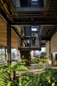 Cross-Laminated Timber Renovated Warehouses Image 6