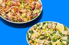 Simplified Carbon Label Menus Article Thumbnail