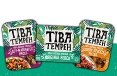 Versatile Protein Tempeh Products