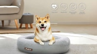 Pet Health-Monitoring Technologies Image 1