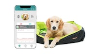 Pet Health-Monitoring Technologies Image 2