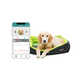 Pet Health-Monitoring Technologies Image 2