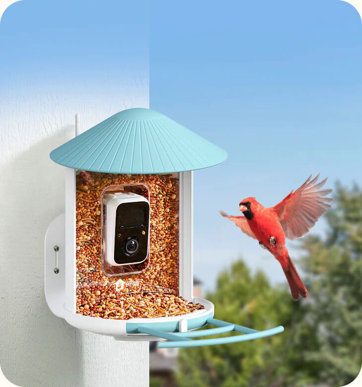 Next-Generation Bird Feeders Article Thubnail