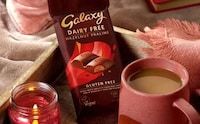 Vegan Hazelnut-Packed Chocolates Image 1