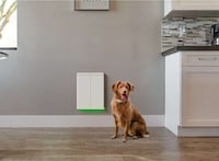 Heavy-Duty Pet Entryways Image 2