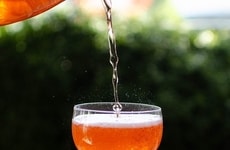 Ethical Veggie-Forward Restaurants Article Thumbnail