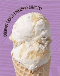 Vegan-Friendly Frozen Desserts Image 1