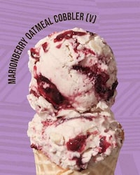 Vegan-Friendly Frozen Desserts Image 4
