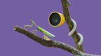Modular Wildlife Habitats Image 2