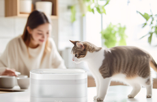 Water-Purifying Pet Fountains