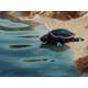 Self-Dock Aquatic Robot Technology Image 2