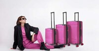 Personality-Matched Luggage Collections Image 2