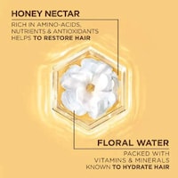 Honey-Infused Shampoos Image 5