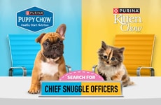 Adorable Pet Campaigns