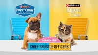 Adorable Pet Campaigns Image 1