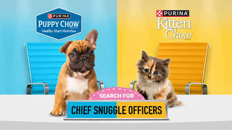 Adorable Pet Campaigns